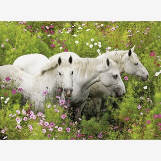 300 bitar - Horses in a field of flowers