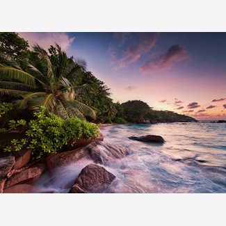 1000 bitar - Praslin island, Seychelles