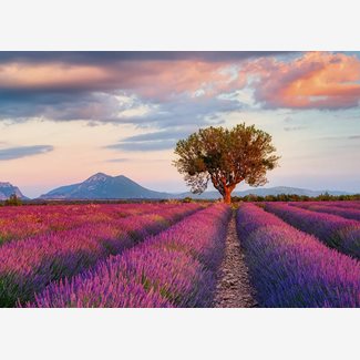 1000 bitar - Lavender fields