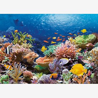 1000 bitar - Korallenriff