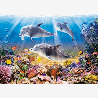 500 bitar - Dolphin World