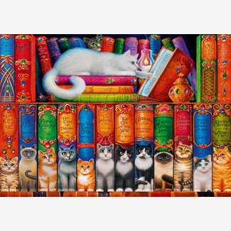 1000 bitar - Cat bookshelf