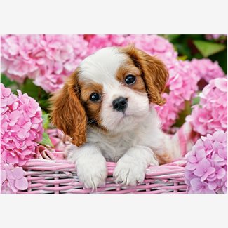 500 bitar - Pup in pink flowers