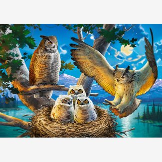500 bitar - Owl family