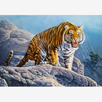 500 bitar - Tiger on the rocks