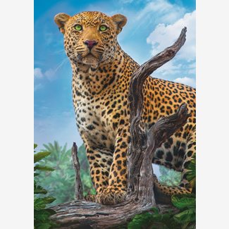 500 bitar - Leopard