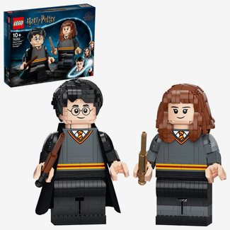Lego Harry Potter, Harry Potter och Hermione Granger