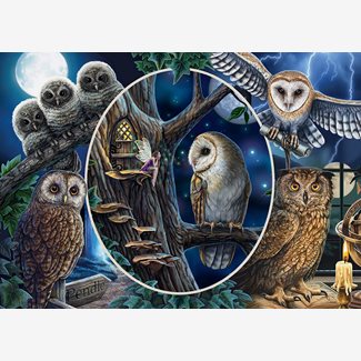 1000 bitar - Lisa Parker, Mysterious owls