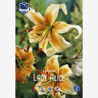 Lilja, Lady Alice