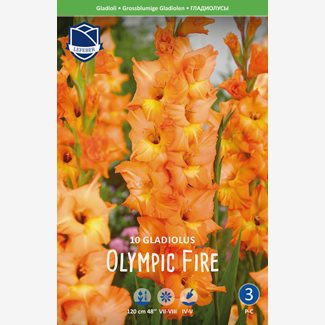 Gladiol, Olympic Fire