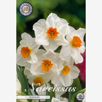 Narciss, Pingstlilja, Geranium