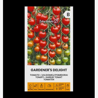Tomat, Gardeners delight
