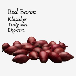 Röd lök, Red Baron, eko, 250 gram