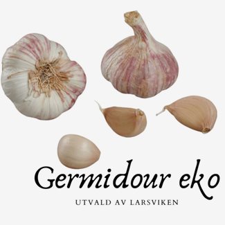 Vitlök, Germidour - 1 pack, EKO