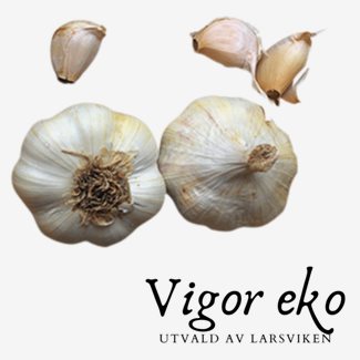 Vitlök, Vigor - 1 pack, EKO