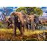 500 bitar - Elephant family