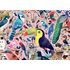 1000 bitar - Matt Sewell, Amazing birds