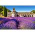 1000 bitar - Provence, Frankreich