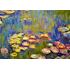 1000 bitar - Claude Monet, Nymphéas
