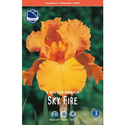 Iris Germanica, Sky Fire