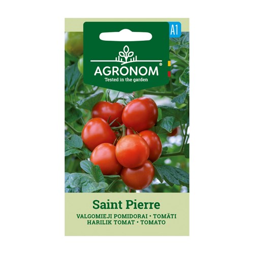 Tomat, Saint Pierre
