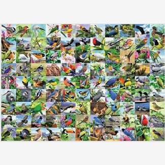 300 bitar - Stora bitar, 99 Delightful birds