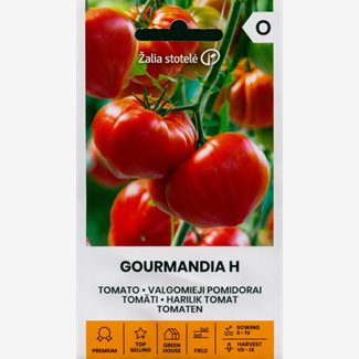 Tomat, Gourmandia F1