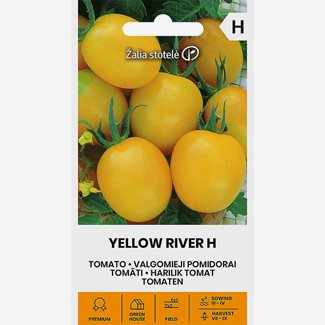 Tomat, Yellow River F1