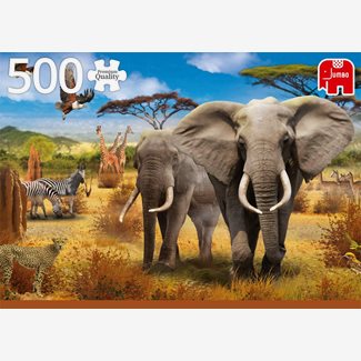 500 bitar - African savannah