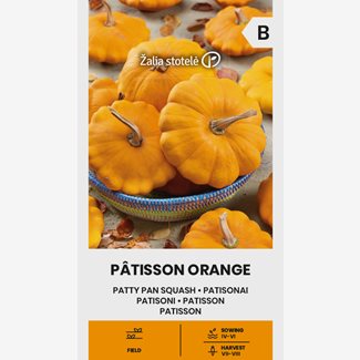 Squash, Patisson Orange