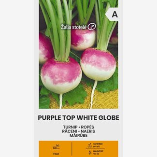 Majrova, Purple Top White Globe