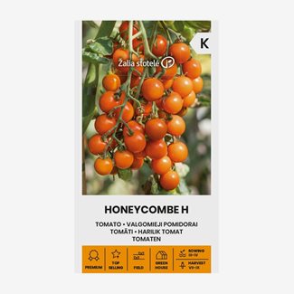 Tomat, Honeycombe F1