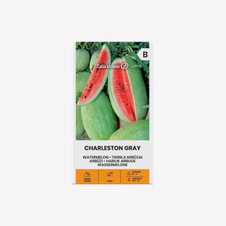 Melon, Vattenmelon, Charleston Gray