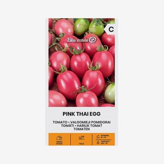 Tomat, Pink Thai Egg