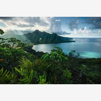 5000 bitar - Hawaiian Viewpoint