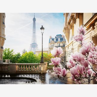 500 bitar - Spring in Paris